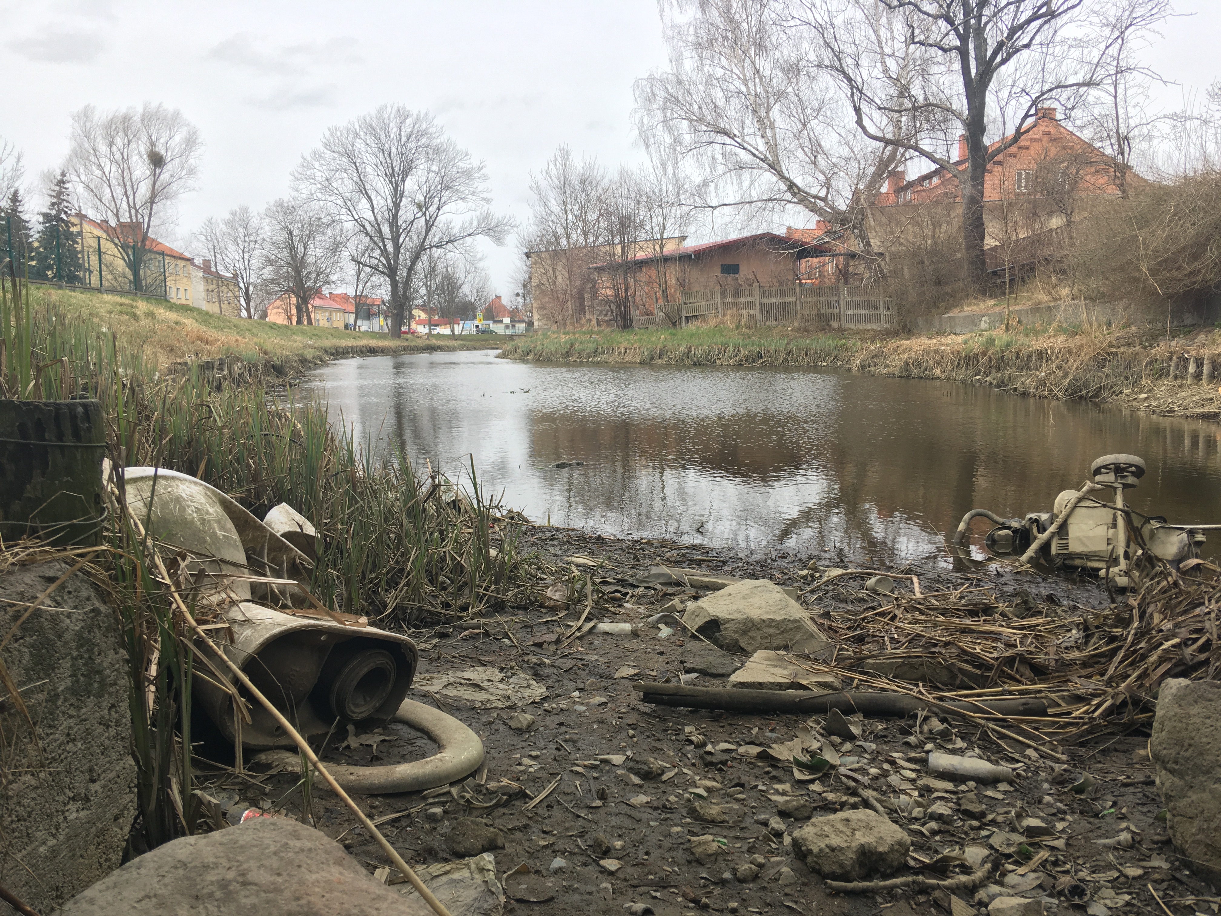 Wspólnie posprzątamy fosę staromiejską