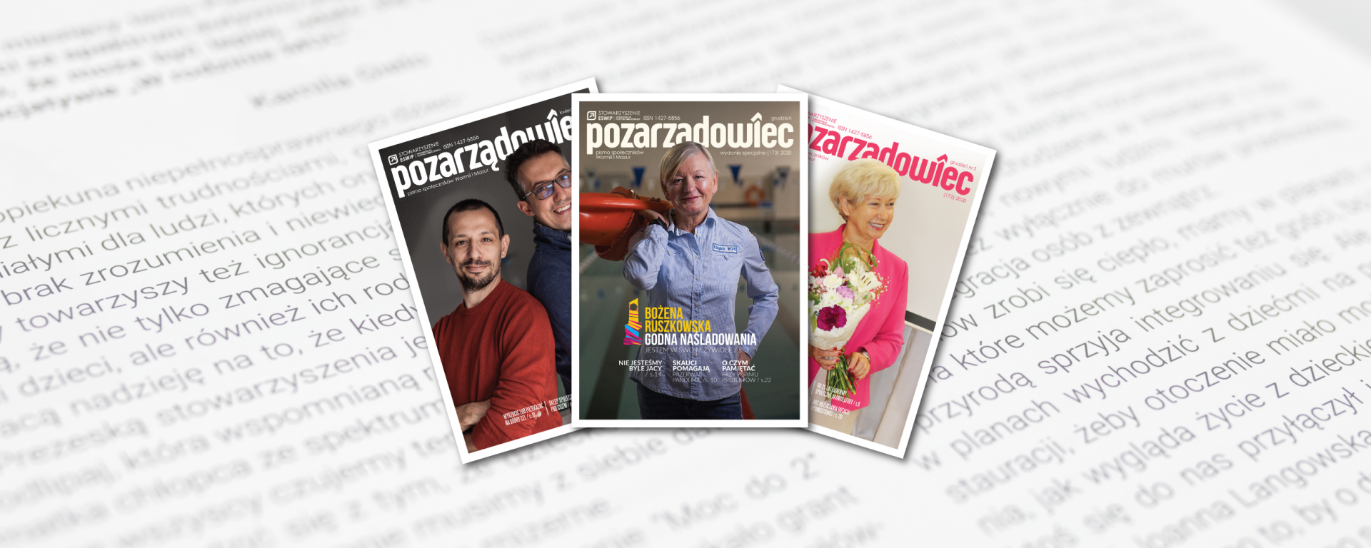 Grafika strony Pozarządowiec - publikacje