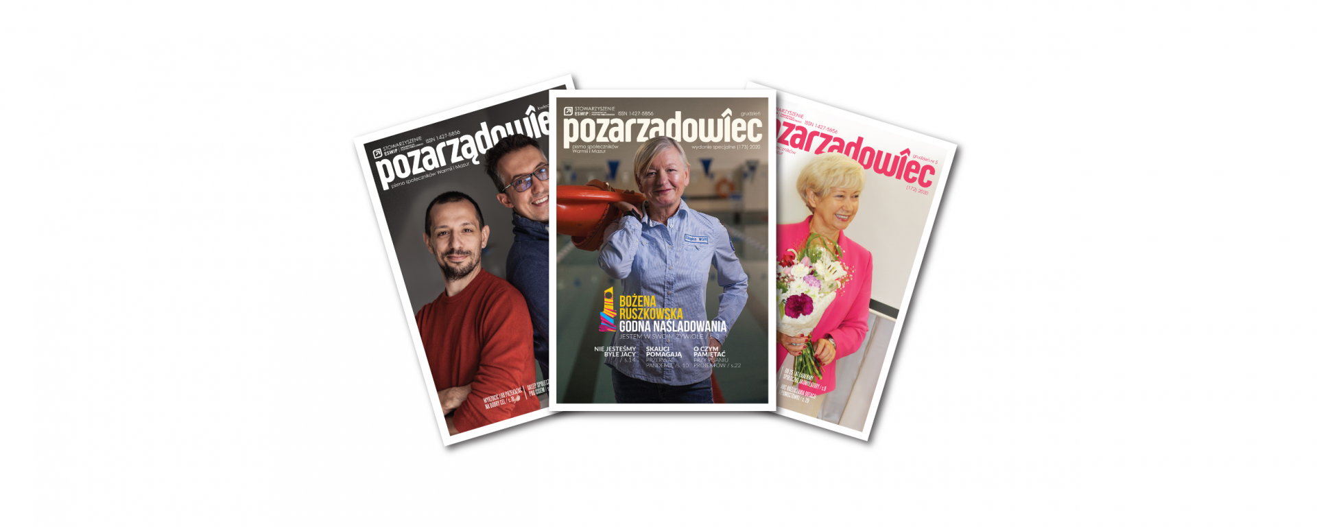 Grafika strony Pozarządowiec