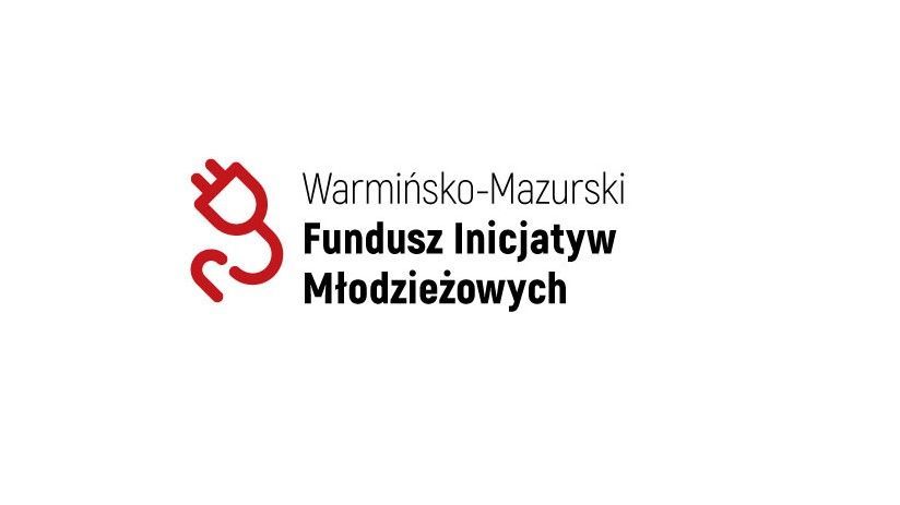 Grafika strony Młodzieżowe rady i sejmiki