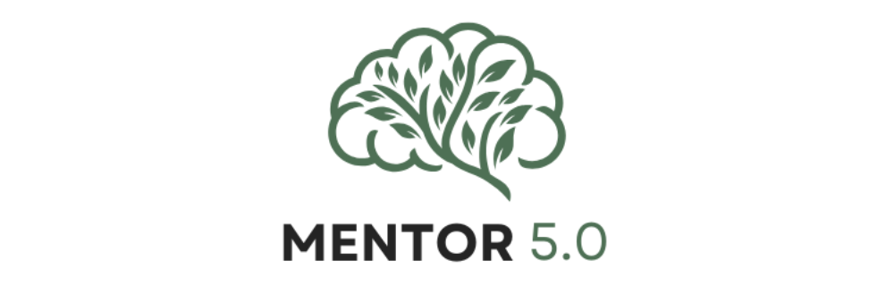 Grafika strony MENTOR 5.0